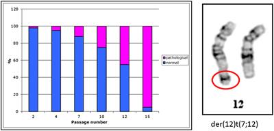 Chromosomal Heterogeneity of the G-401 Rhabdoid Tumor Cell Line: Unusual Partial 7p Trisomy